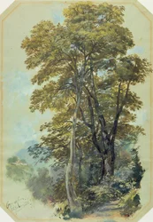 Edward Lear, Corpo di Cava
